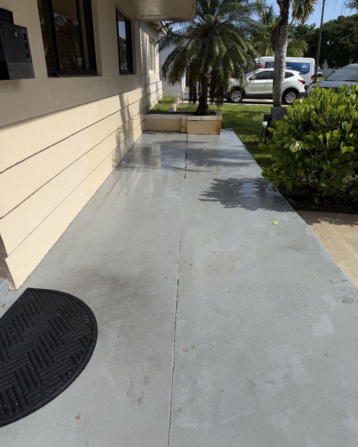 Front entry walkway in South Florida — after cleaning